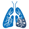 pruebas de asma metacolina